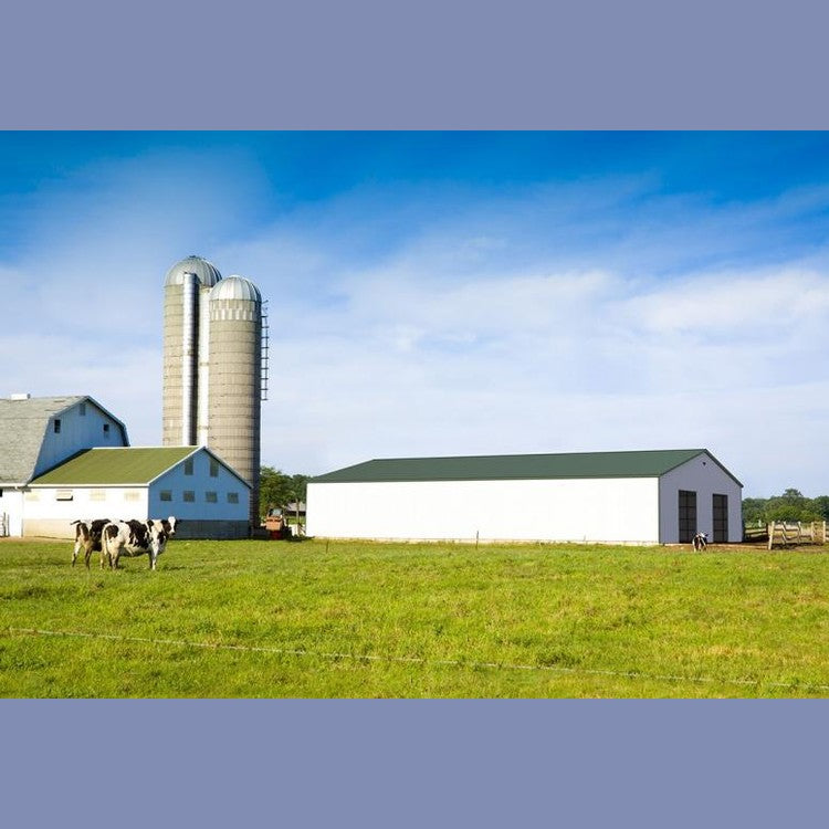 40' x 100' x 12' Agriculture or Commercial Metal Building